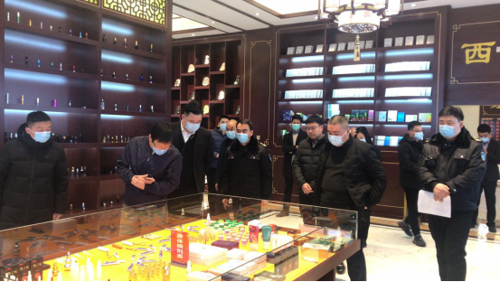 国家卫生城市技术评估组莅临润灵调研